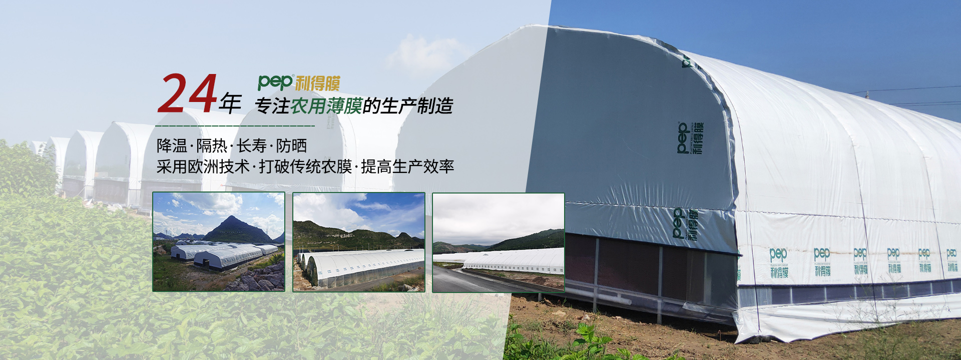 pep利得膜、绿白膜