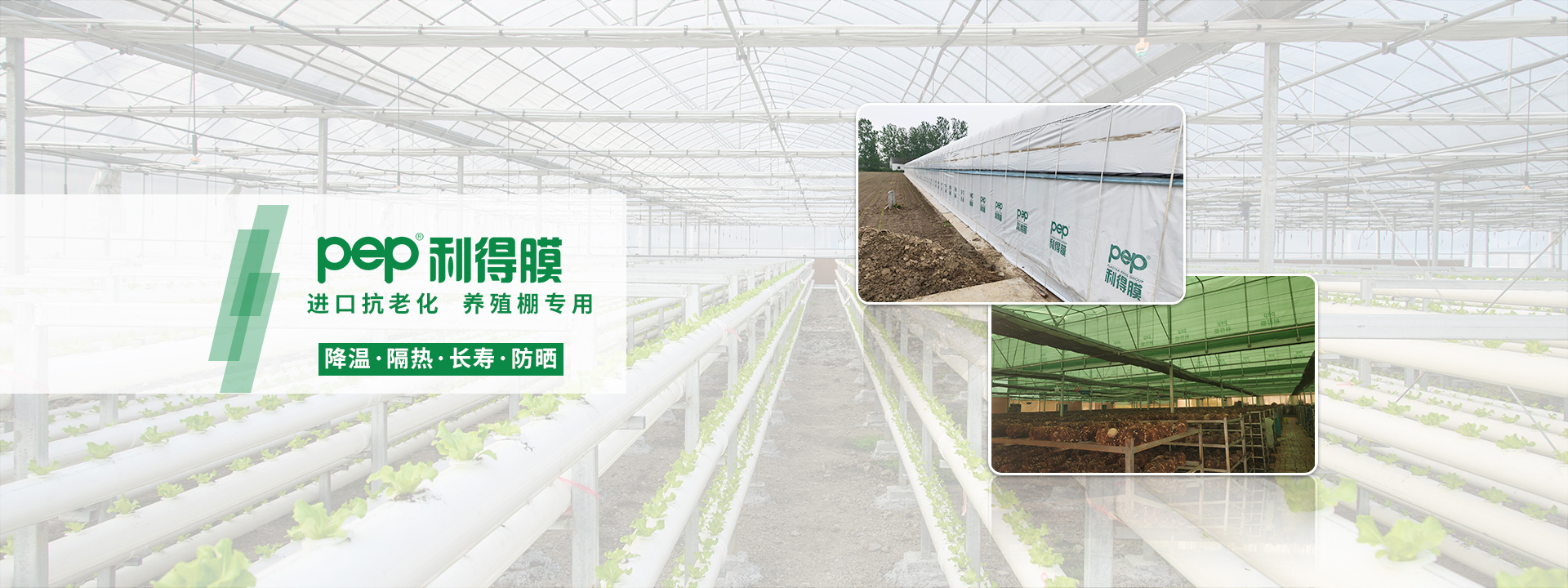 黑白膜、pep利得膜