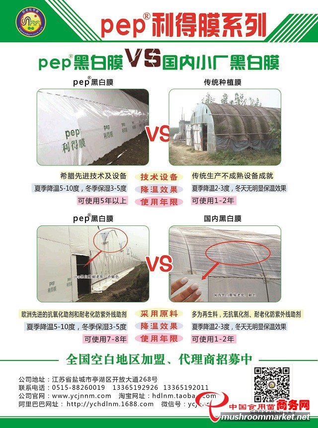 云顶集团·(中国区)唯一官方网站
